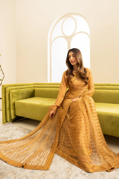 Zurik Saree & Crop Top