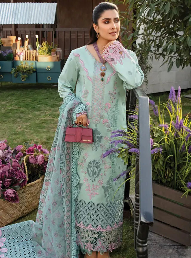 Rang Rasiya Embroidered Lawn Suits Unstitched 3 Piece RR24PE D-09 Amyra